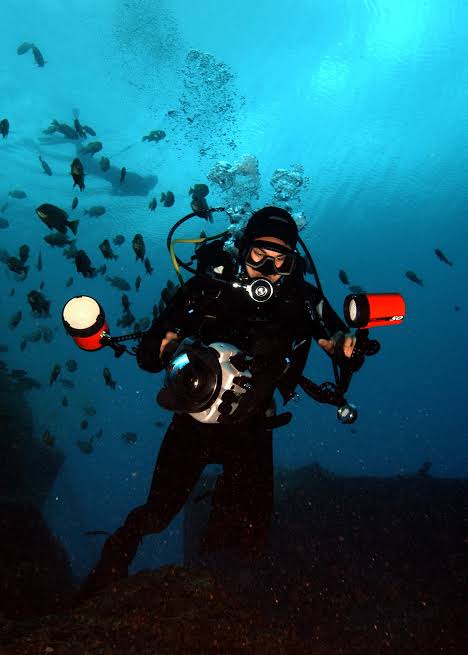 Best Dive Lights for Spotting What’s Below You The Surface!