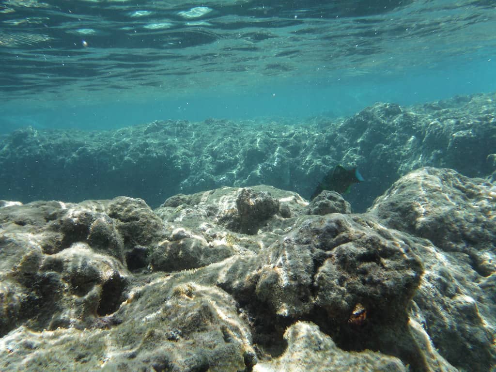 7 Best Places for Snorkeling in Oahu