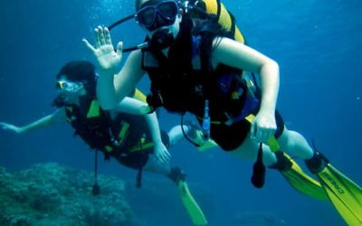 Top Underwater Cameras for Scuba Diving