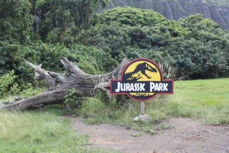 Jurassik park movie site