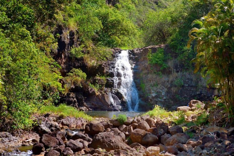 Beautiful waterfall in Waimea Valley