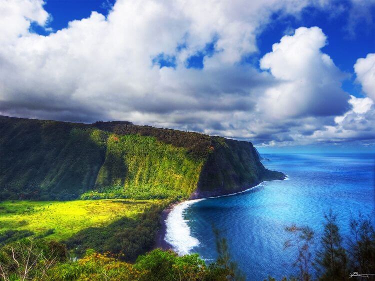 Visiting Hawaii: The Definitive Guide
