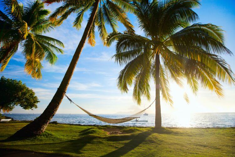Hammock silhouette with palm trees on a beautiful beach at sunset