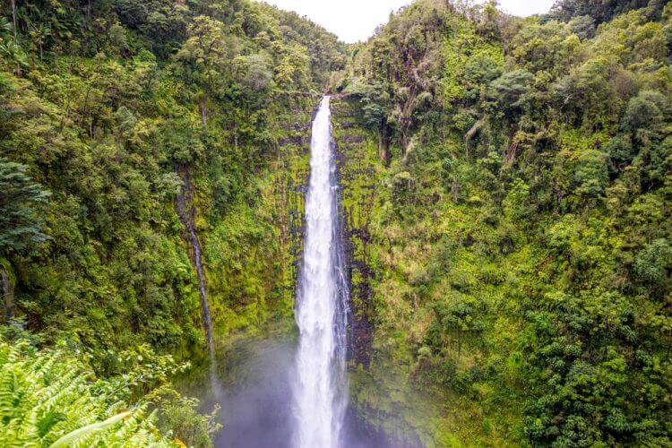 Akaka Falls surrounded by tropical rain forest, on the Big Island of Hawaii.