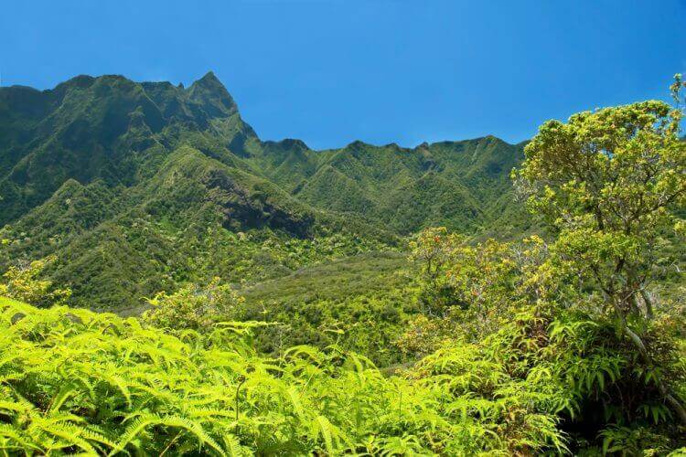 Iao Valley State Park on Maui Hawaii