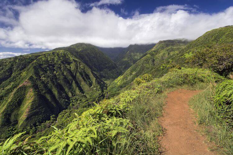 Waihe’e Ridge Trail