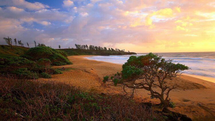 Donkey Beach Kaui