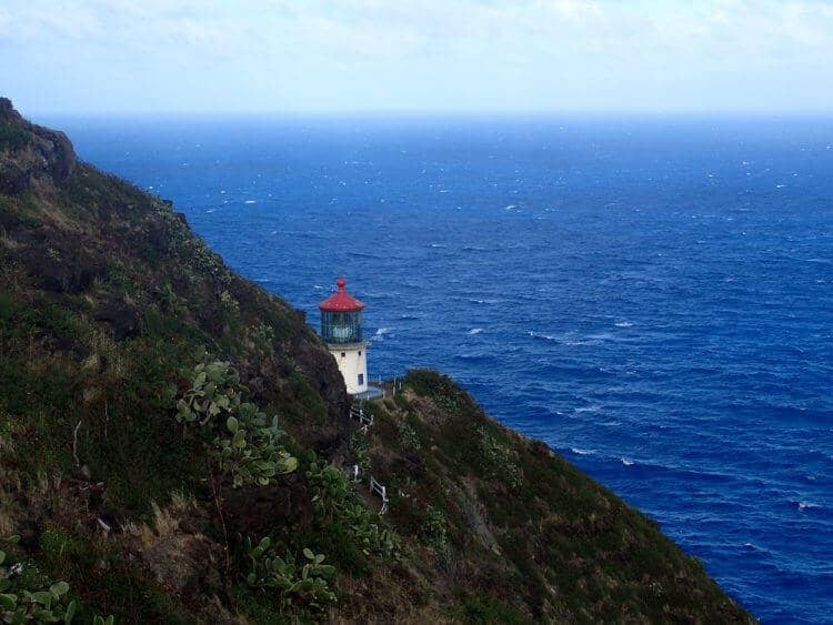 Best Whale Watching Spots in Hawaii - Live Your Aloha