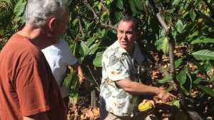 tour of Kokoleka Lani farm