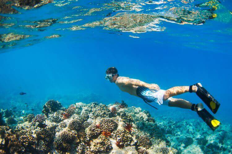 Snorkeling in Hawaii