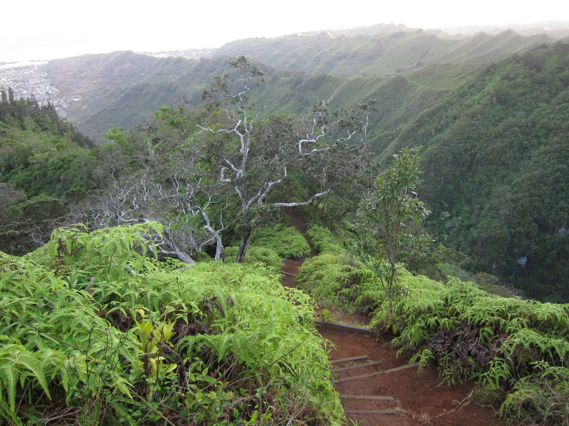 Ultimate guide to visiting Oahu - kuliouou ridge trail hike in hawaii