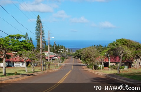 The Definitive Guide to Visiting Hawaii - maunaloa in molokai