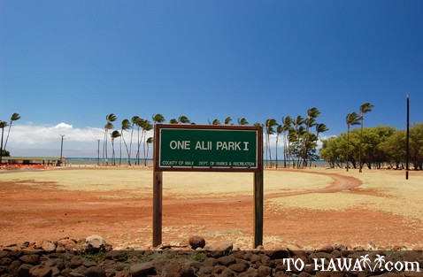 The Definitive Guide to Visiting Hawaii - one alii park on molokai