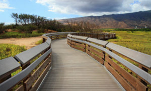 Kealia Pond National Wildlife Refuge. - Maui On Your Mind? The Essential Guide to Visiting the Valley Isle