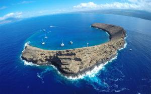 Molokini Crater - Maui On Your Mind? The Essential Guide to Visiting the Valley Isle