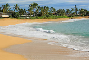 Makaha beach - Snorkeling In Oahu: Safety Tips & Recommended Spots