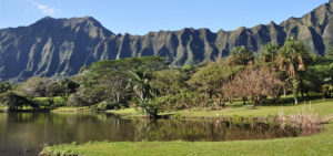 Ho’omaluhia Botanical Gardens - Botanical Gardens in Oahu: Discover Hawaii in Bloom