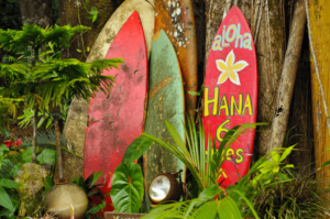 road to hana - Maui On Your Mind? The Essential Guide to Visiting the Valley Isle