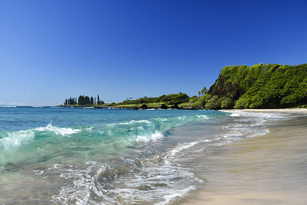 The Definitive Guide to Visiting Hawaii - hamoa beach hana maui hawaii