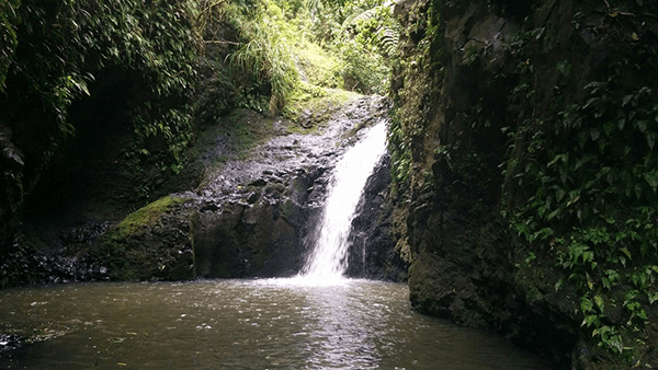 The Definitive Guide to Visiting Hawaii - maunawili falls in hawaii