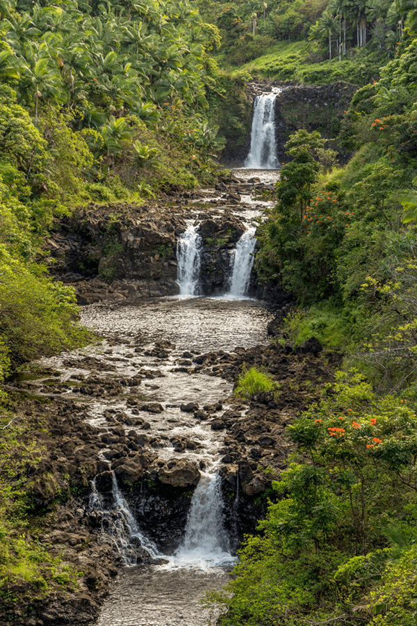 The Definitive Guide to Visiting Hawaii - umauma falls