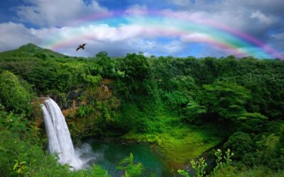 The Best Adventures and Tours on Kauai