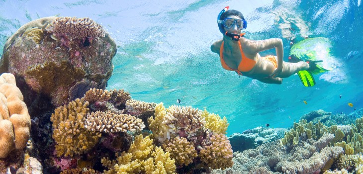 girl snorkeling in the water in Maui