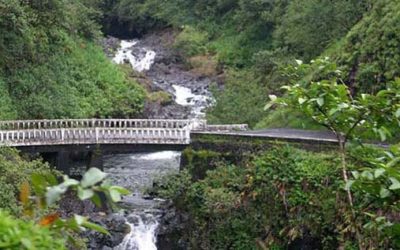 Road to Hana Tours – Our Favorite 3 On The Island