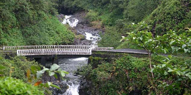 Road to Hana Tour in Maui