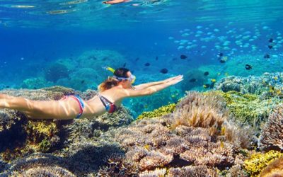 Best Maui Snorkel Tours: Explore The Beauty of The Ocean