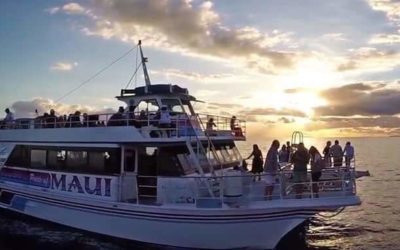 3 Best Maui Dinner Cruises: Embark a Memorable Voyage