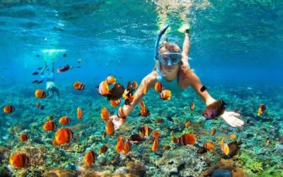 How to Snorkel – A Beginner’s Guide to Snorkeling