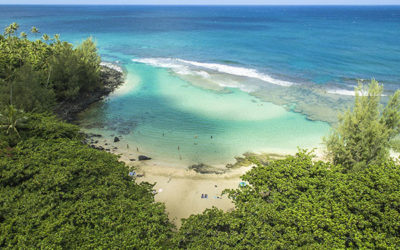 The Most Unforgettable Snorkel Tours Around Hawaii