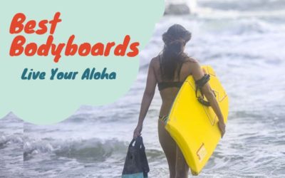 10 Best Bodyboards For Catching Mondo Waves