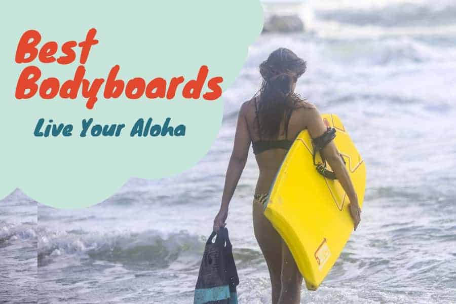 10 Best Bodyboards For Catching Mondo Waves