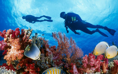 Our Favorite Places to Scuba Dive in the World: Top 15 Fascinating Locations