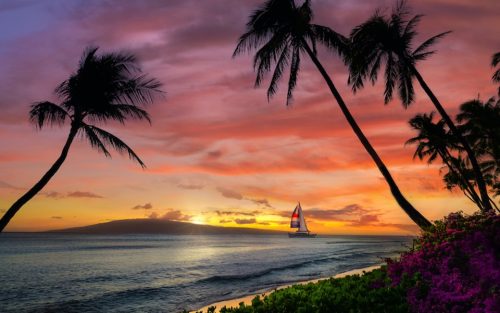 hawaii travel in january