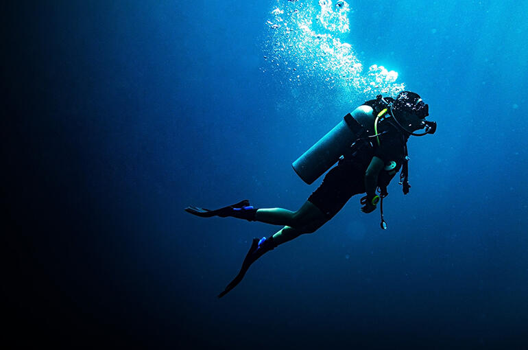 Our Top Places to Scuba Dive in the USA