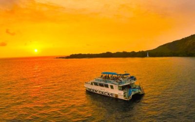 What is the Ideal Month to Dinner Cruise in Hawaii?