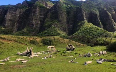 Scenes From Jurassic Park Movie Shot in Hawaii: 14 Locations!