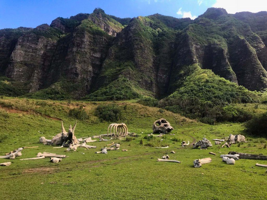 Scenes From Jurassic Park Movie Shot in Hawaii: 14 Locations!