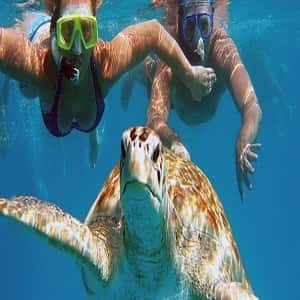 molokini snorkeling