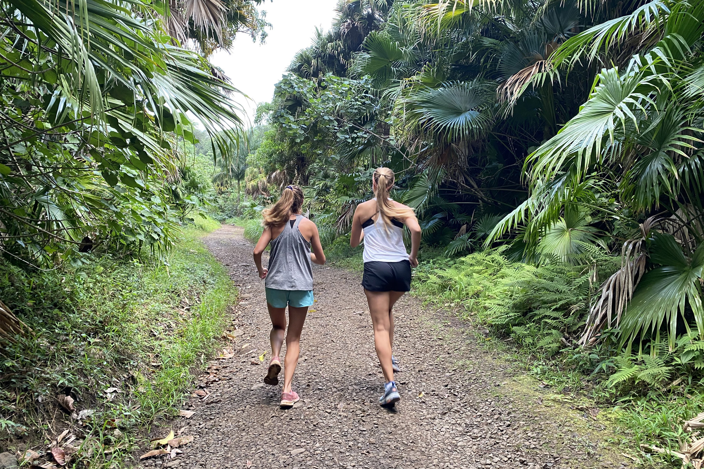 Running Trails on Oahu: A Runners Paradise