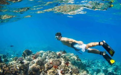 Snorkel Tours Oahu – The Ultimate Underwater Experience